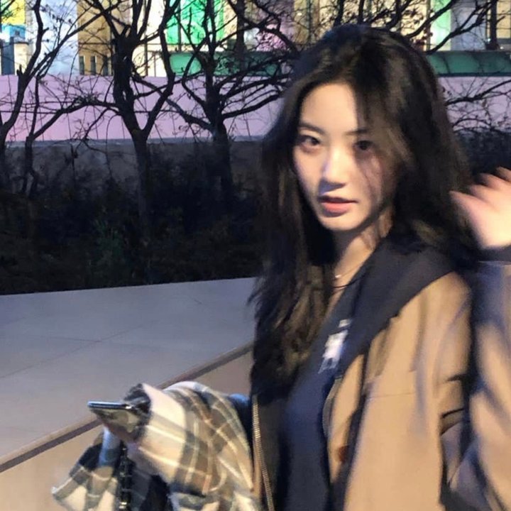 完美的蛇颈龙之日海报